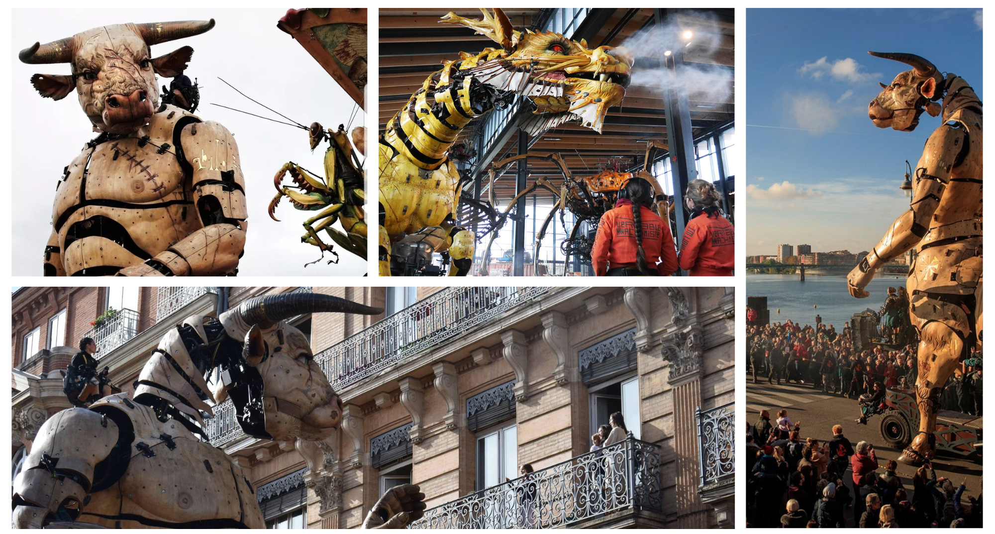 découvrez la halle aux machines 